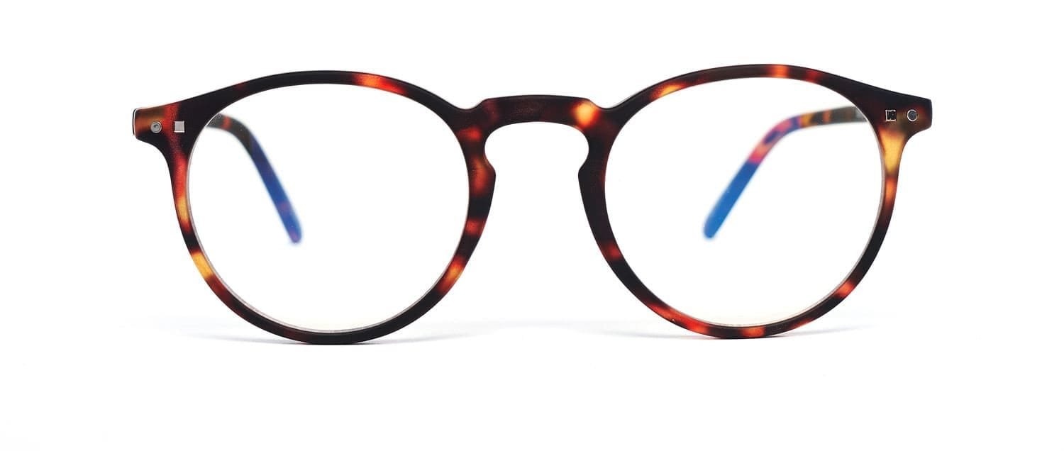 Tortoise model 3 reading glasses front