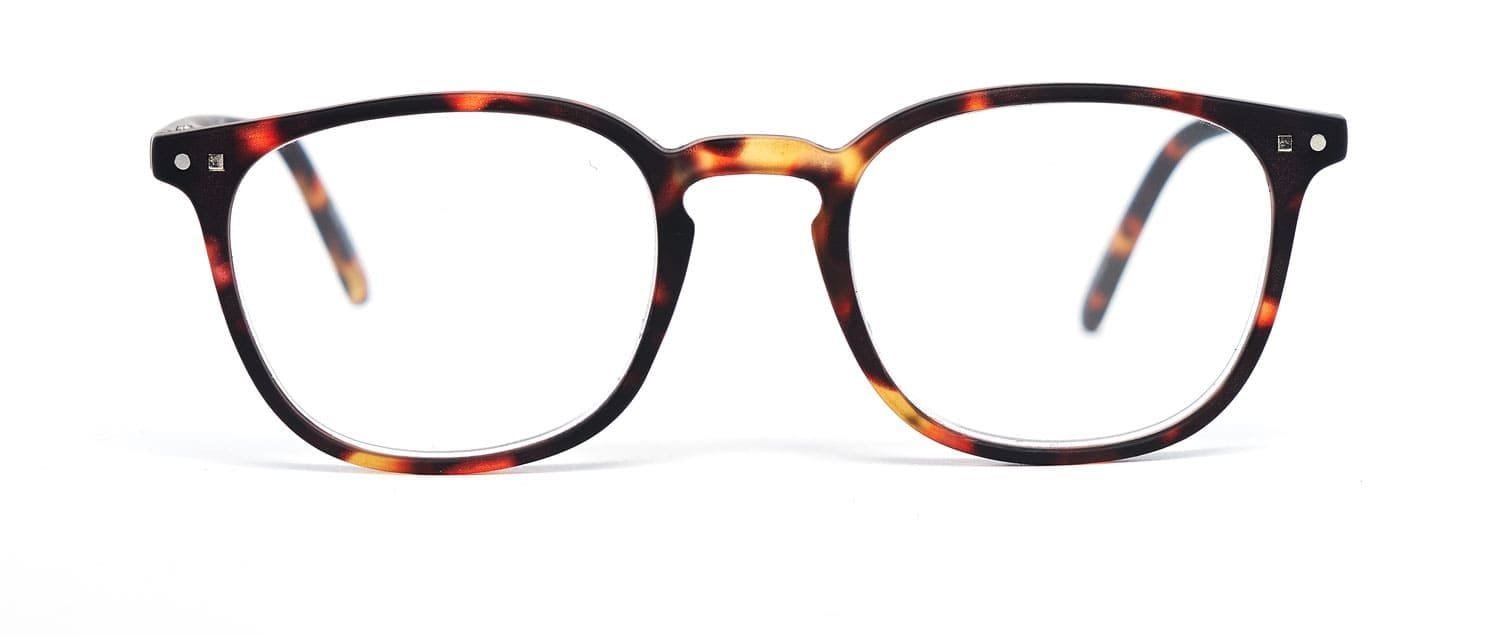 Tortoise model 5 reading glasses front